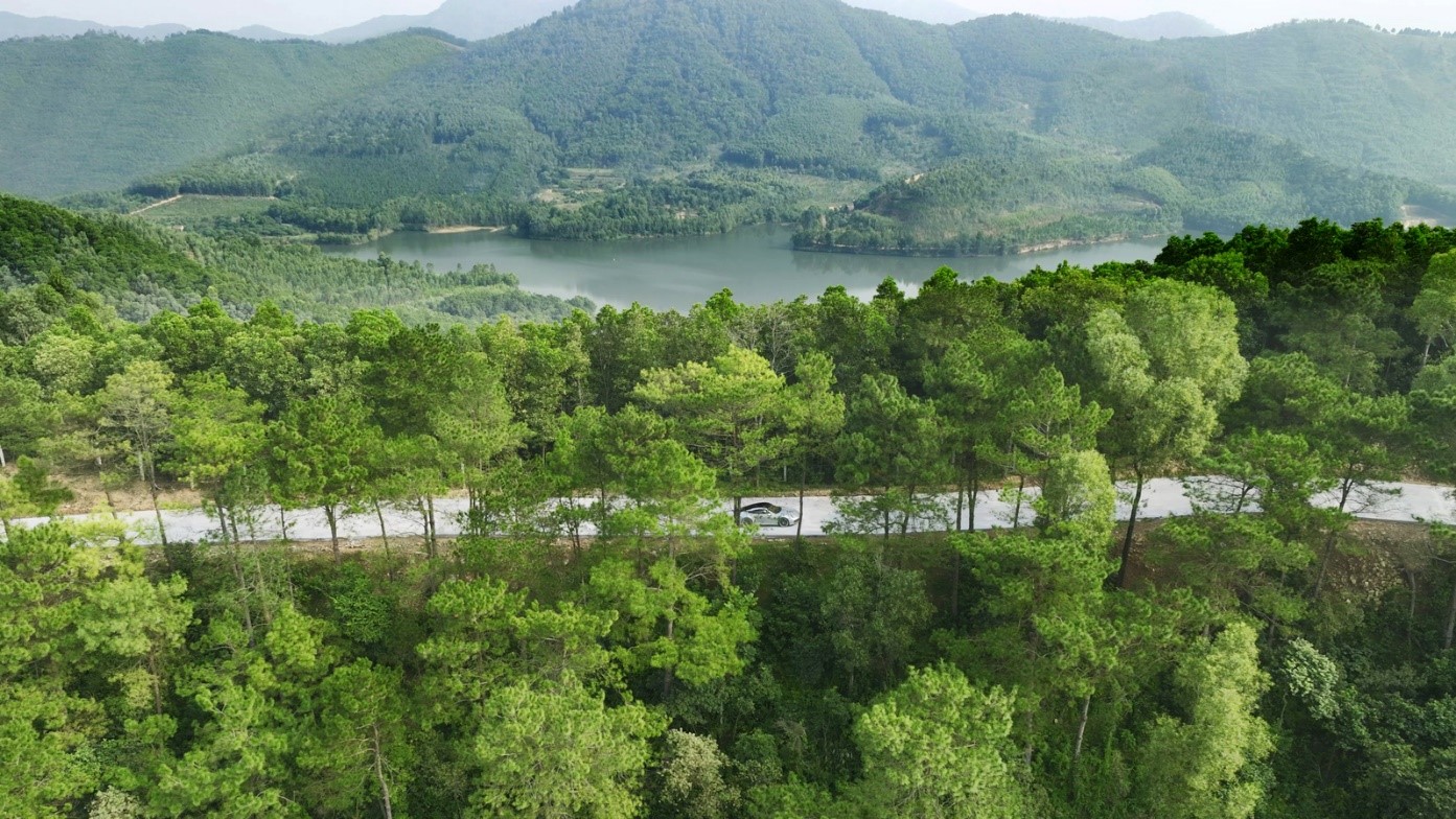 Rừng thông không chỉ tạo mảng xanh, mà được gìn giữ như một phần quan trọng trong định hướng chăm sóc y tế dài hạn. Ảnh chụp tại Thanh Xuan Valley.