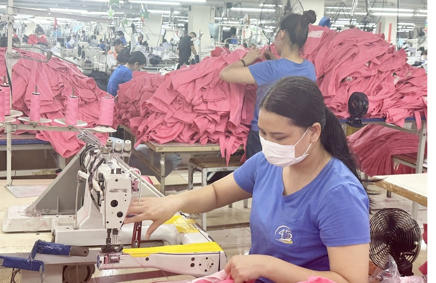 Doanh thu 6 tháng của TNG tăng 15% so với cùng kỳ