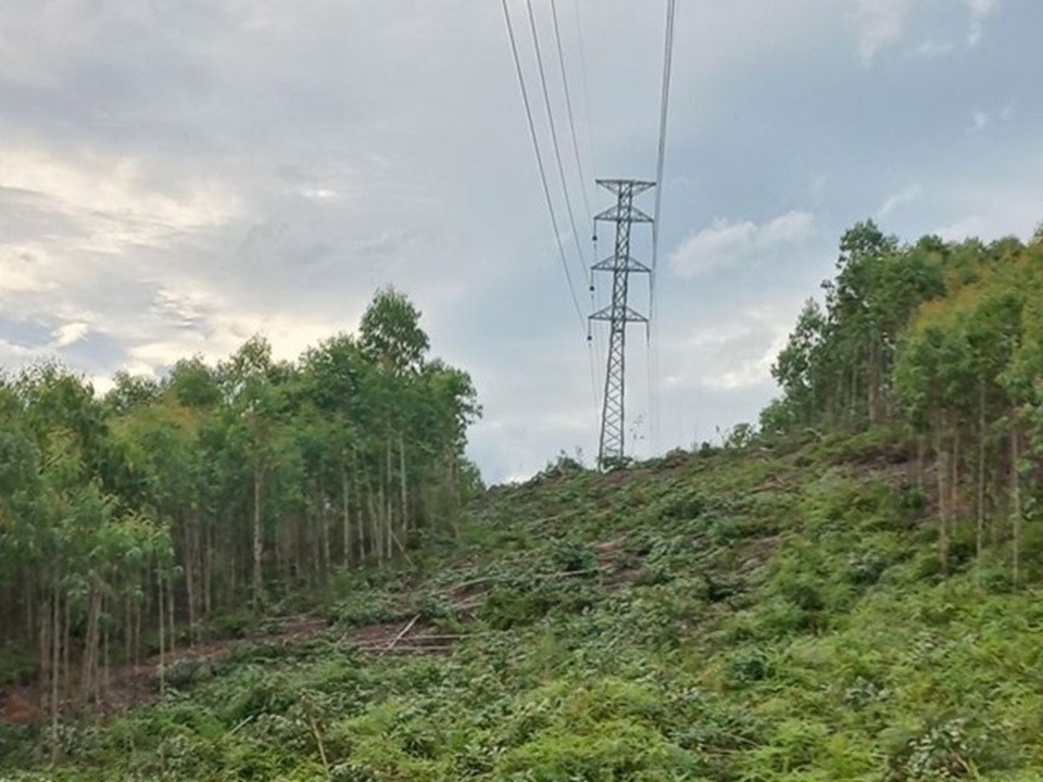 Các bước phát quang hành lang an toàn điện cao áp đảm bảo trước khi đóng điện