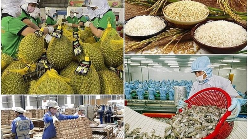 Ngành nông nghiệp đặt mục tiêu thực hiện kim ngạch xuất khẩu toàn ngành đạt 65 tỷ USD trong năm 2025
