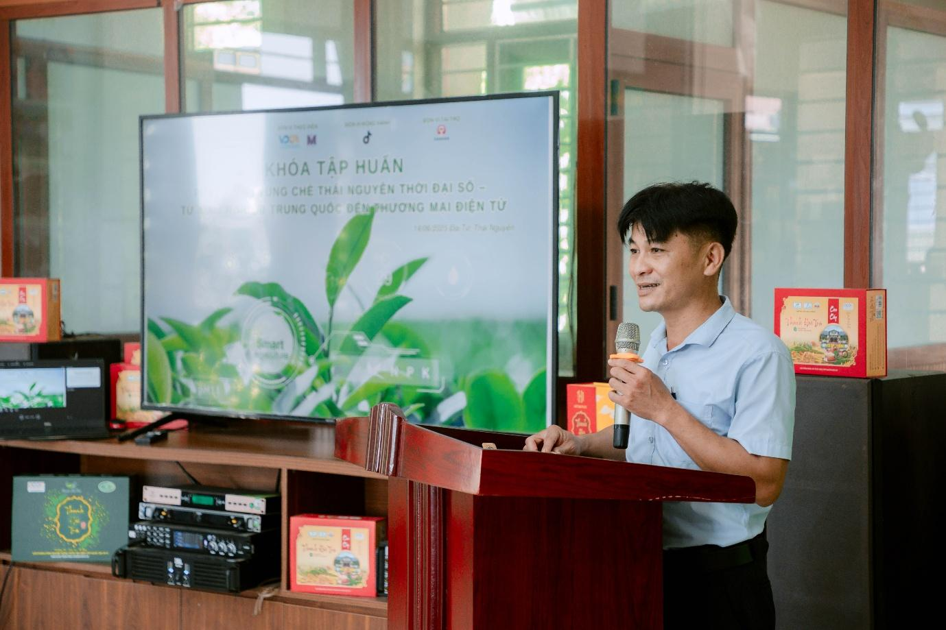 Vùng chè Thái Nguyên nâng cao chất, xây dựng thương hiệu