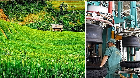 Ảnh minh họa, ảnh Thời báo Tài chính.