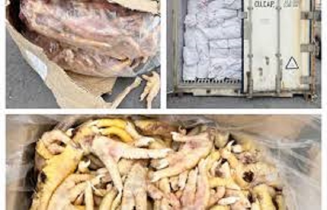 Vụ xuất khống 1.400 tấn chân gà đông lạnh: Hải quan khởi tố điều tra hành vi trốn thuế hơn 7 tỷ đồng