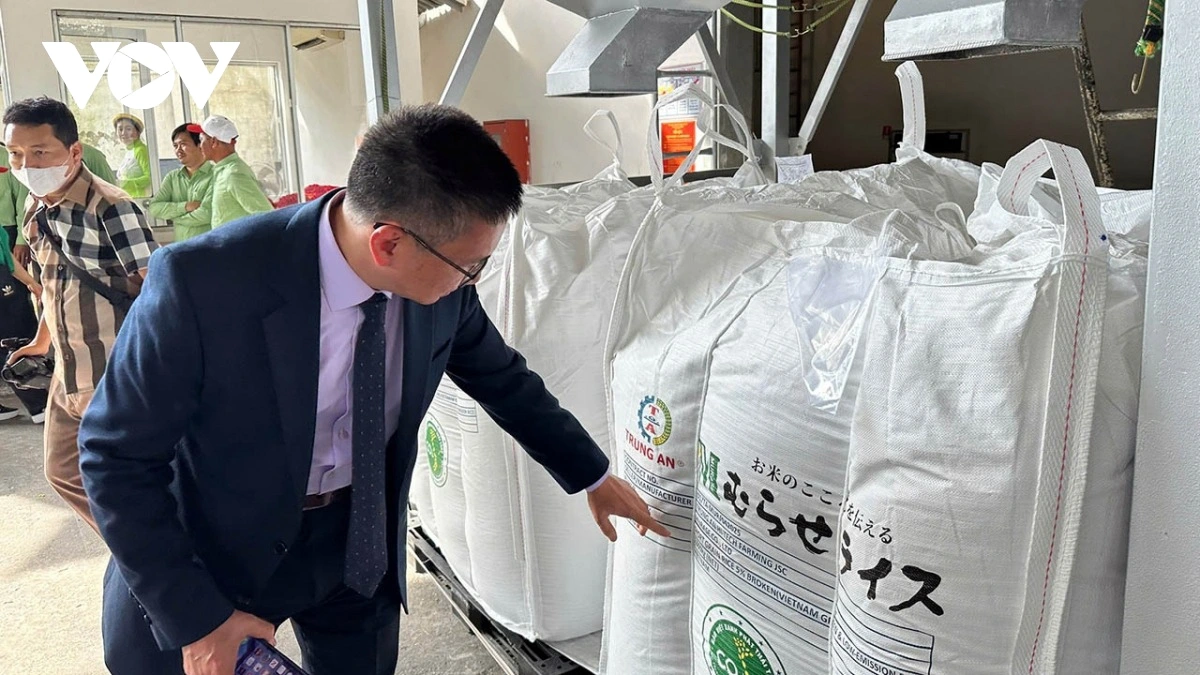 Nhiều sản phẩm của Việt Nam thu hút sự quan tâm của thị trường nước ngoài