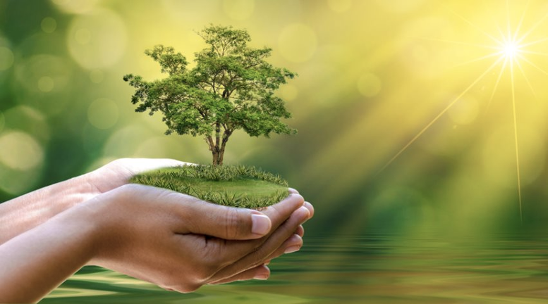 Dự án đầu tư được xác nhận thuộc danh mục phân loại xanh phải đáp ứng 2 tiêu chí tại Quyết định số 21/2025/QĐ-TTg.