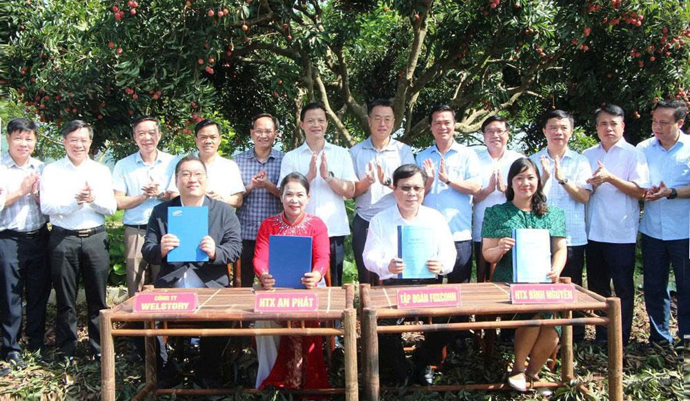 Các đồng chí lãnh đạo tỉnh, sở, ngành chứng kiến ký kết thỏa thuận bao tiêu vải thiều giữa các doanh nghiệp và hợp tác xã cung ứng sản phẩm. Các đồng chí lãnh đạo tỉnh, sở, ngành chứng kiến ký kết thỏa thuận bao tiêu vải thiều giữa các doanh nghiệp và hợp tác xã cung ứng sản phẩm.