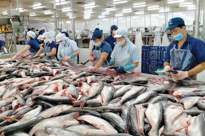 Thủy sản là một trong những mặt hàng xuất khẩu chủ lực của Việt Nam sang Brazil Thủy sản là một trong những mặt hàng xuất khẩu chủ lực của Việt Nam sang Brazil