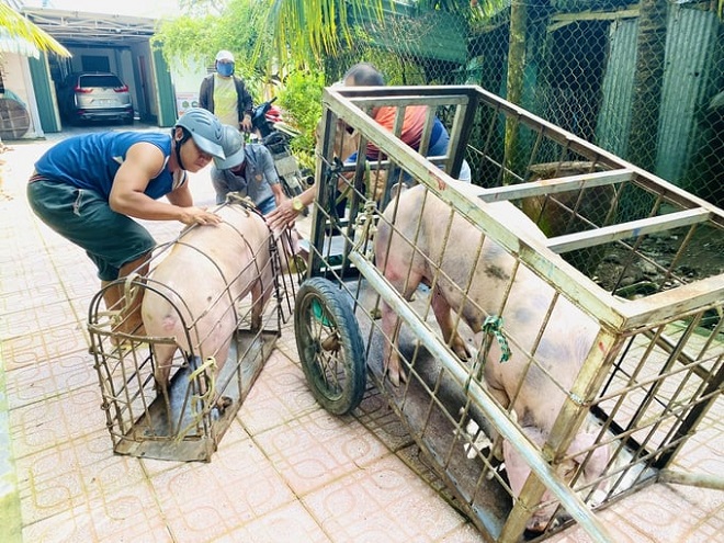 Lo ngại an toàn thực phẩm ở Hà Nội: Hàng trăm cơ sở giết mổ thủ công vẫn chưa bị dẹp bỏ
