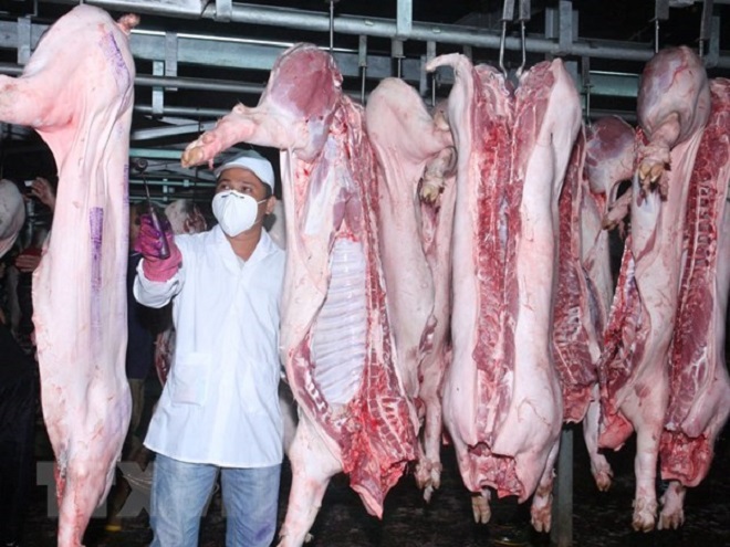 Kiểm tra chất lượng gia súc sau khi giết mổ. Ảnh: TTXVN