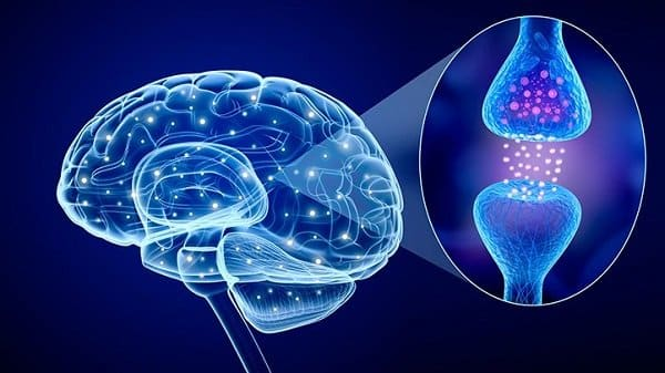 Thiếu ngủ làm giảm serotonin Thiếu ngủ làm giảm serotonin