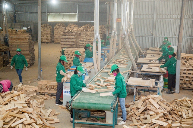 Quảng Trị: Hơn 530 doanh nghiệp mới thành lập, tạo động lực cho kinh tế tư nhân phát triển