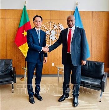 Đại sứ Đỗ Hùng Việt, Trưởng Phái đoàn thường trực Việt Nam tại LHQ, đến chào xã giao ông Philemon Yang, Chủ tịch Đại hội đồng LHQ Khóa 79 nhân dịp mới bắt đầu nhiệm kỳ công tác. Lãnh đạo LHQ đánh giá cao lập trường và cam kết của Việt Nam đối với chủ nghĩa đa phương, luật pháp quốc tế và Hiến chương LHQ. Ảnh: Thanh Tuấn/ PV TTXVN tại Mỹ Đại sứ Đỗ Hùng Việt, Trưởng Phái đoàn thường trực Việt Nam tại LHQ, đến chào xã giao ông Philemon Yang, Chủ tịch Đại hội đồng LHQ Khóa 79 nhân dịp mới bắt đầu nhiệm kỳ công tác. Lãnh đạo LHQ đánh giá cao lập trường và cam kết của Việt Nam đối với chủ nghĩa đa phương, luật pháp quốc tế và Hiến chương LHQ. Ảnh: Thanh Tuấn/ PV TTXVN tại Mỹ