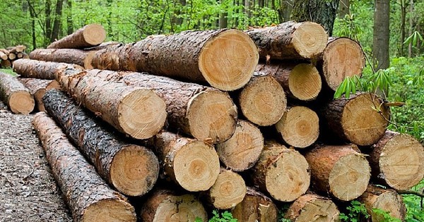 Ảnh chỉ có tính chất minh họa, nguồn internet.