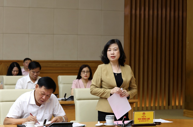 Bộ trưởng Đào Hồng Lan phát biểu tại cuộc họp - Ảnh: VGP/Đức Tuân