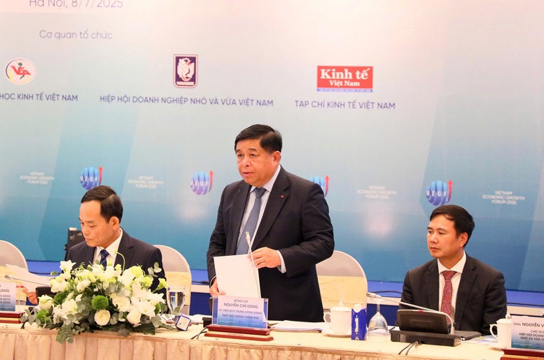Phó Thủ tướng kêu gọi các nhà đầu tư, các địa phương hãy đồng lòng, chung sức, cùng Chính phủ, các ban, bộ, ngành thực hiện thành công các mục tiêu phát triển kinh tế - xã hội của đất nước - Ảnh: VGP/Thu Sa