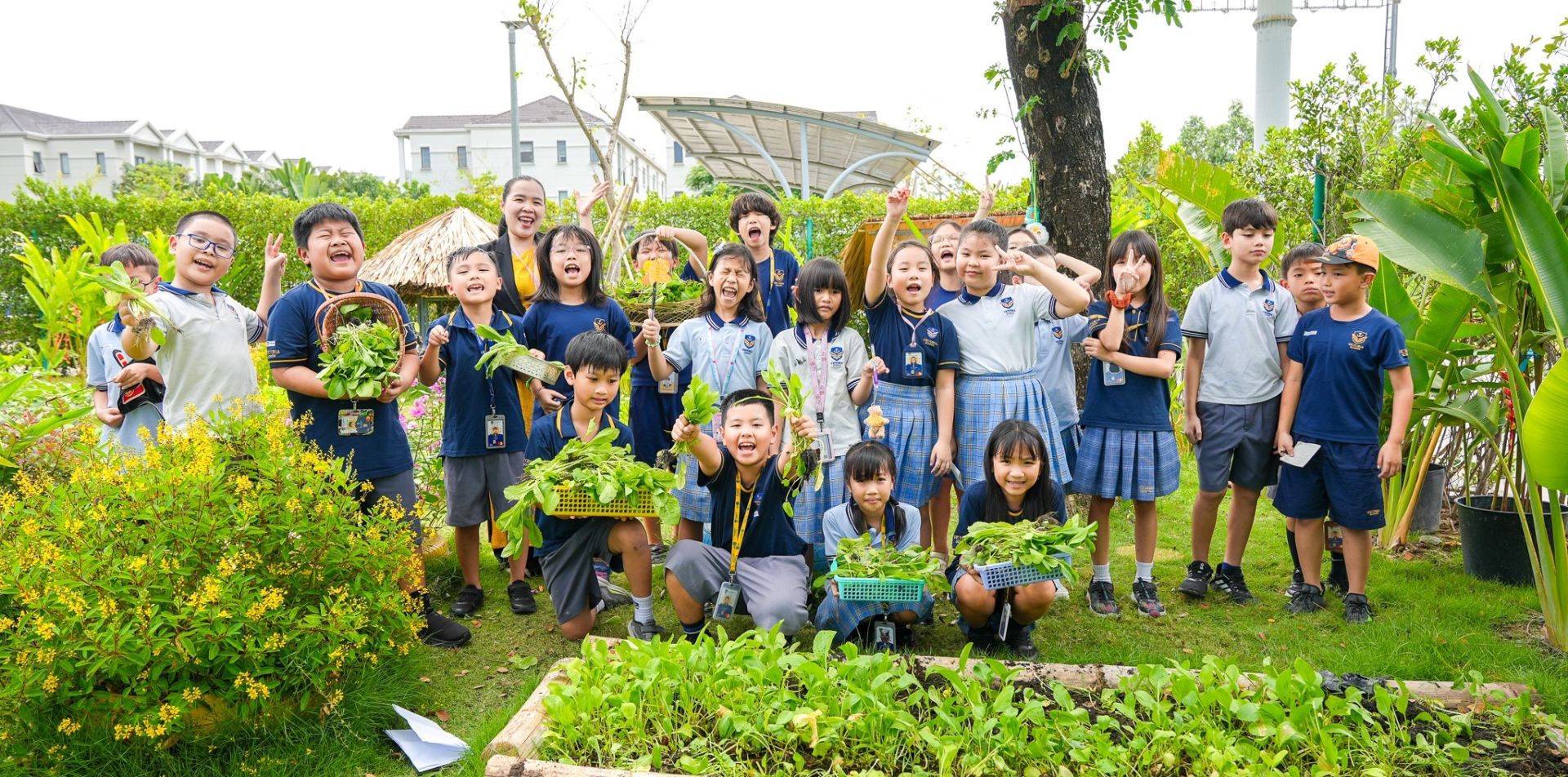 Victoria School xây dựng môi trường học xanh và thân thiện.
