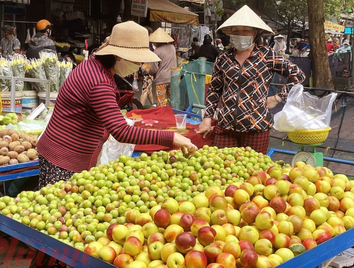 Các loại đào, mận được tiểu thương bày bán tại các khu chợ truyền thống trên địa bàn TP. Hà Nội. Ảnh: Hoài Nam