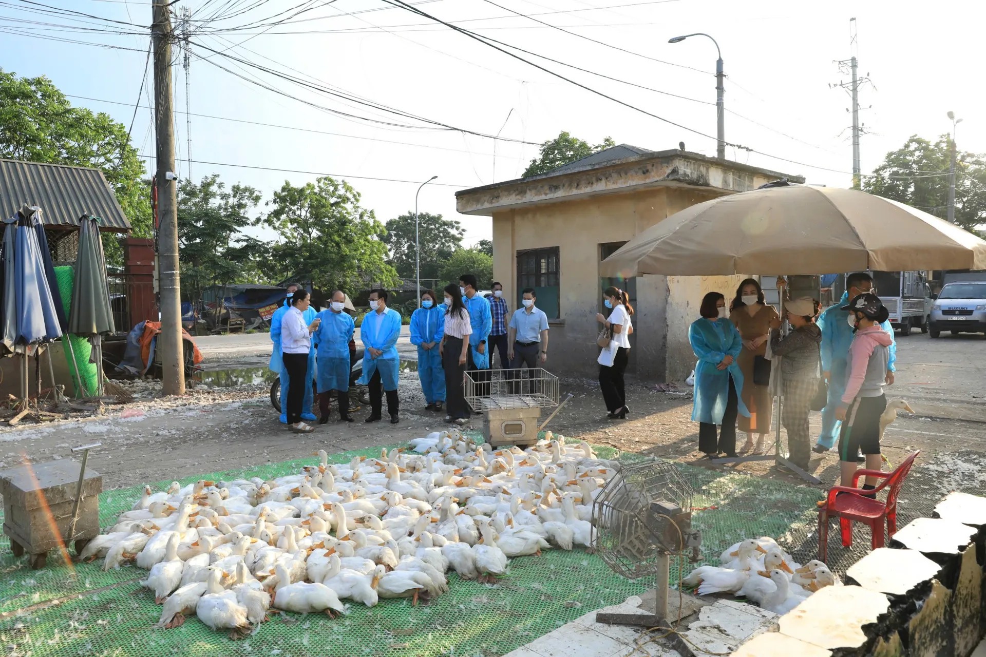 Đoàn khảo sát thực tế tại chợ đầu mối Hà Vỹ