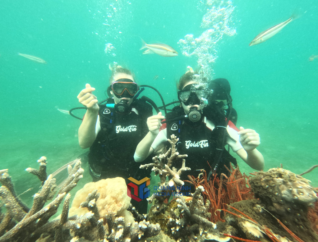 Du lịch trở thành ngành kinh tế mũi nhọn của Cô Tô với những sản phẩm độc đáo, hấp dẫn.