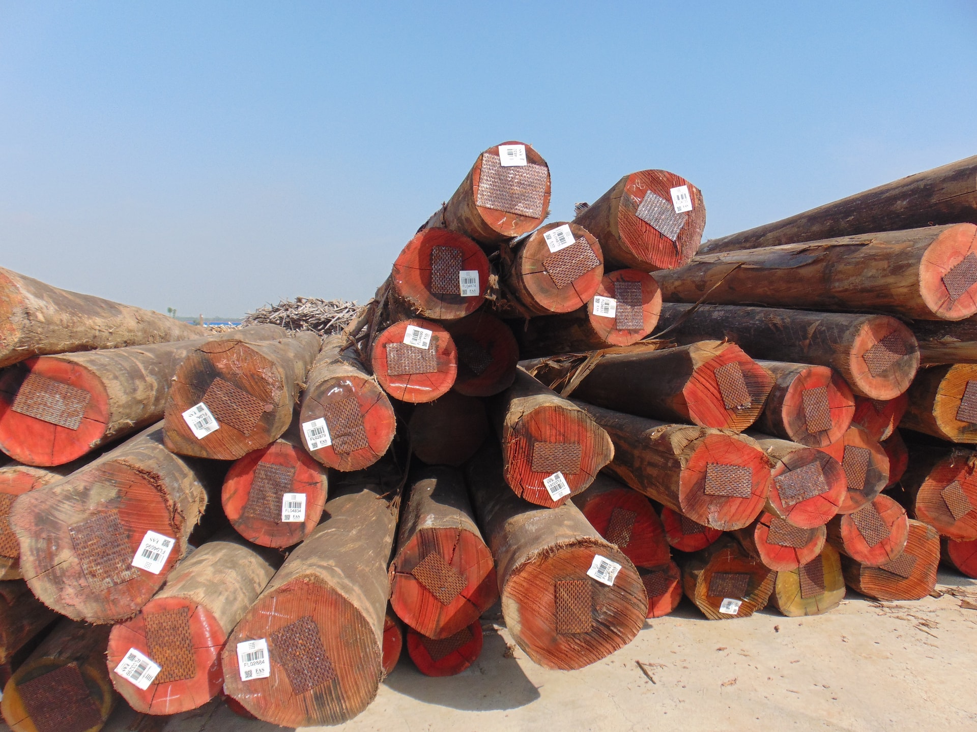 Ảnh minh họa. Ảnh minh họa.