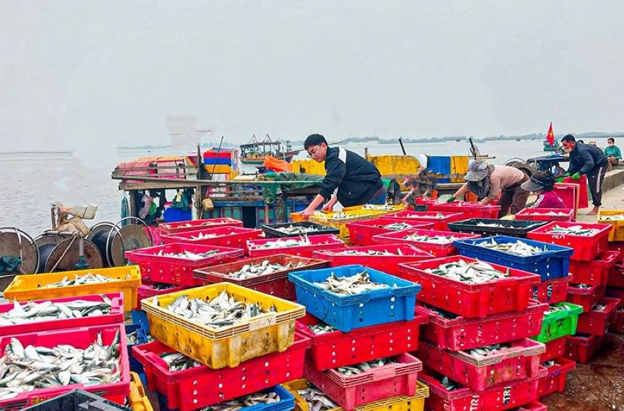 6 tháng đầu năm, sản lượng khai thác thủy sản của Hà Tĩnh đạt 22.438 tấn.