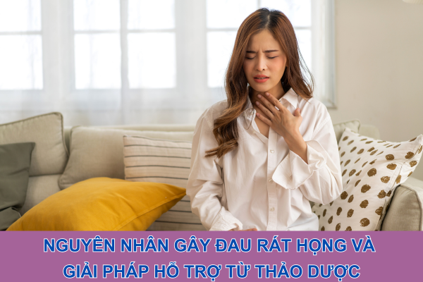 Nguyên nhân gây đau họng và giải pháp hỗ trợ từ thảo dược