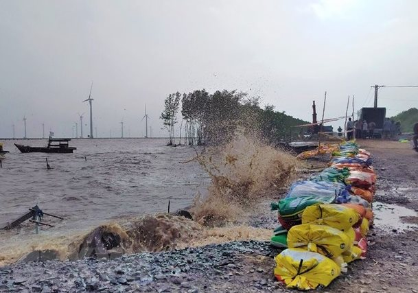 Bộ NN&MT yêu cầu các tỉnh, thành phố rà soát, hoàn thành khắc phục sự cố đê, điều