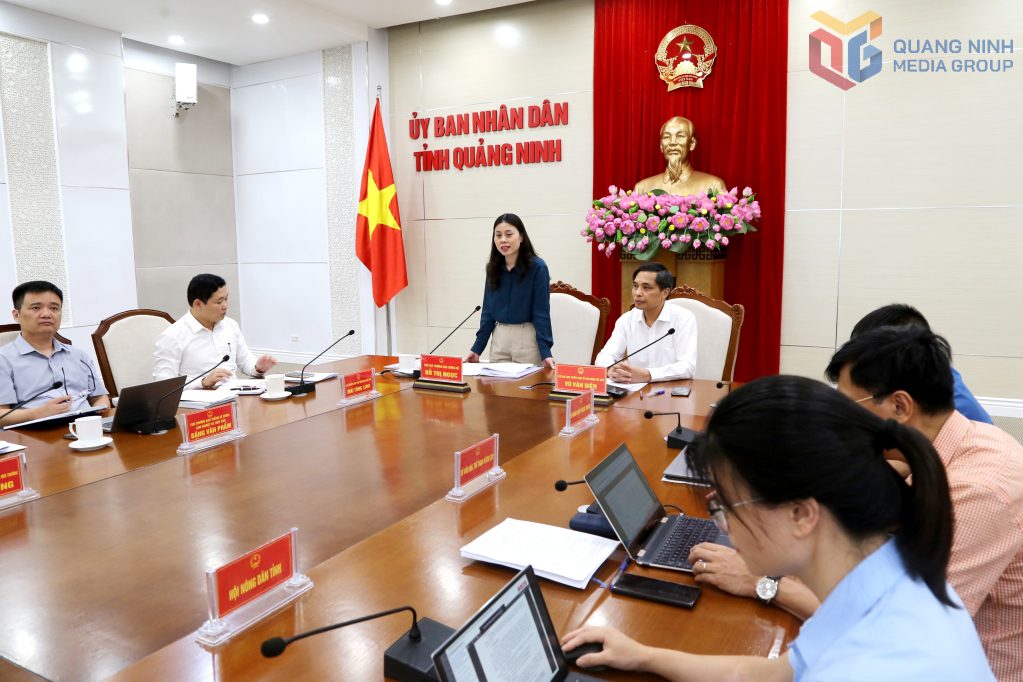 Bà Đỗ Thị Ngọc, Phó Cục trưởng Cục Thống kê, Bộ Tài chính phát biểu tại buổi làm việc.