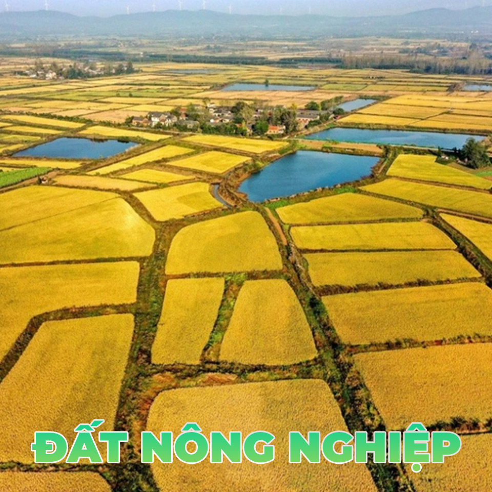 Chuyên gia trao đổi về điều chỉnh giá đất nông nghiệp