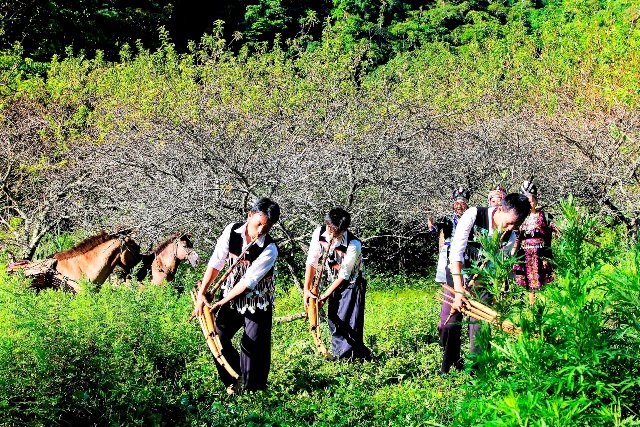 Các chàng trai, cô gái người Mông bên vườn mận ngày Xuân. Các chàng trai, cô gái người Mông bên vườn mận ngày Xuân.