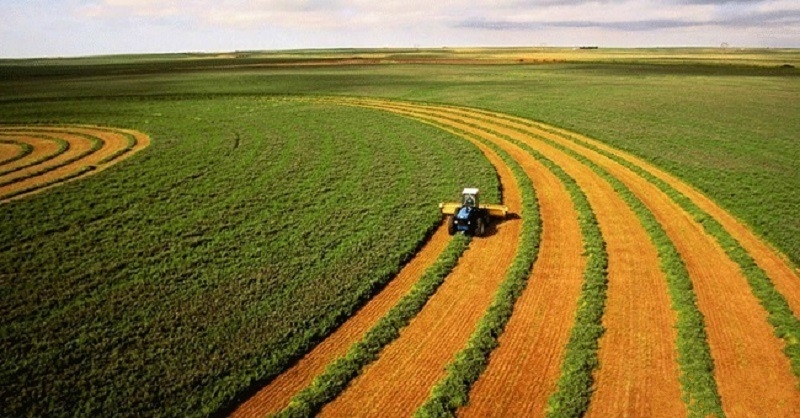 Ảnh minh họa, nguồn internet.