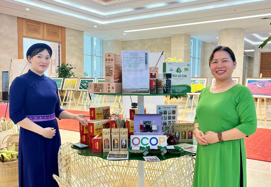 Các sản phẩm OCOP 5 sao của Hợp tác xã Nông nghiệp và Dịch vụ Nam Yang (Ảnh minh họa