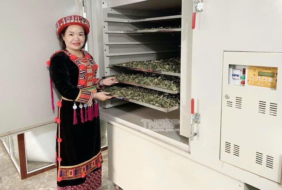 Chị Lý Thị Quyên, Giám đốc HTX Thiên An (xã Phủ Thông, tỉnh Thái Nguyên) Chị Lý Thị Quyên, Giám đốc HTX Thiên An (xã Phủ Thông, tỉnh Thái Nguyên)