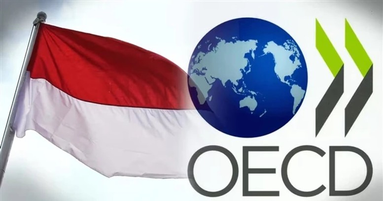 Bước tiến quan trọng của Indonesia trong quá trình gia nhập OECD