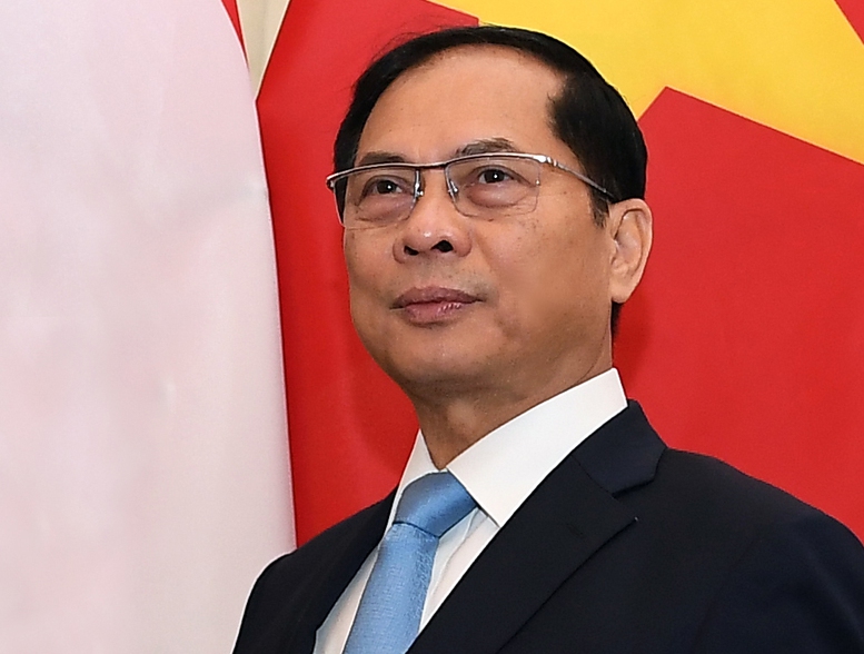 Phó Thủ tướng, Bộ trưởng Ngoại giao Bùi Thanh Sơn: Đẩy mạnh ngoại giao kinh tế phục vụ phát triển, góp phần thực hiện các mục tiêu phát triển đến năm 2030 và 2045. Ảnh: VGP/Hải Minh