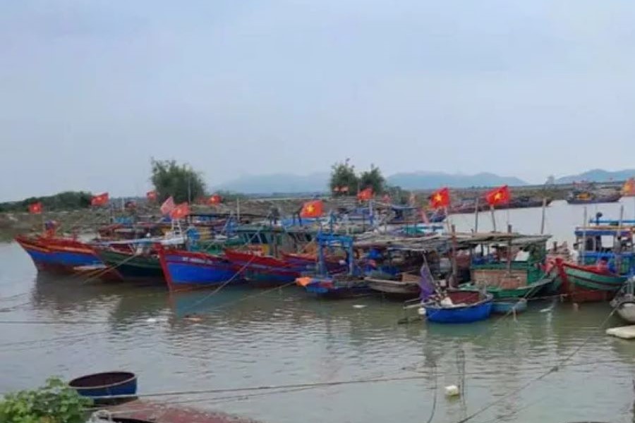 Vi phạm trong lĩnh vực thủy sản hai thuyền trưởng tàu cá bị phạt 125 triệu đồng