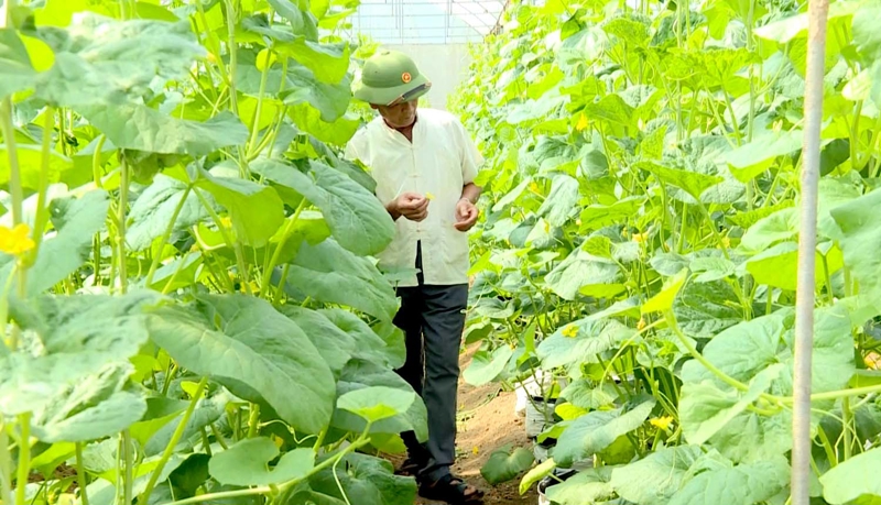 Doanh nghiệp Doanh nghiệp