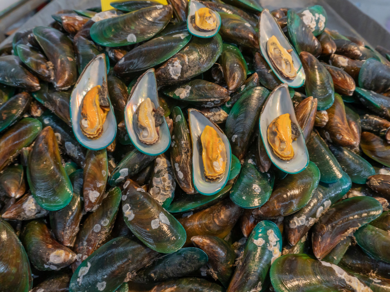 Sản phẩm chứa dầu vẹm xanh giúp cải thiện tình trạng thoát vị đĩa đệm hiệu quả