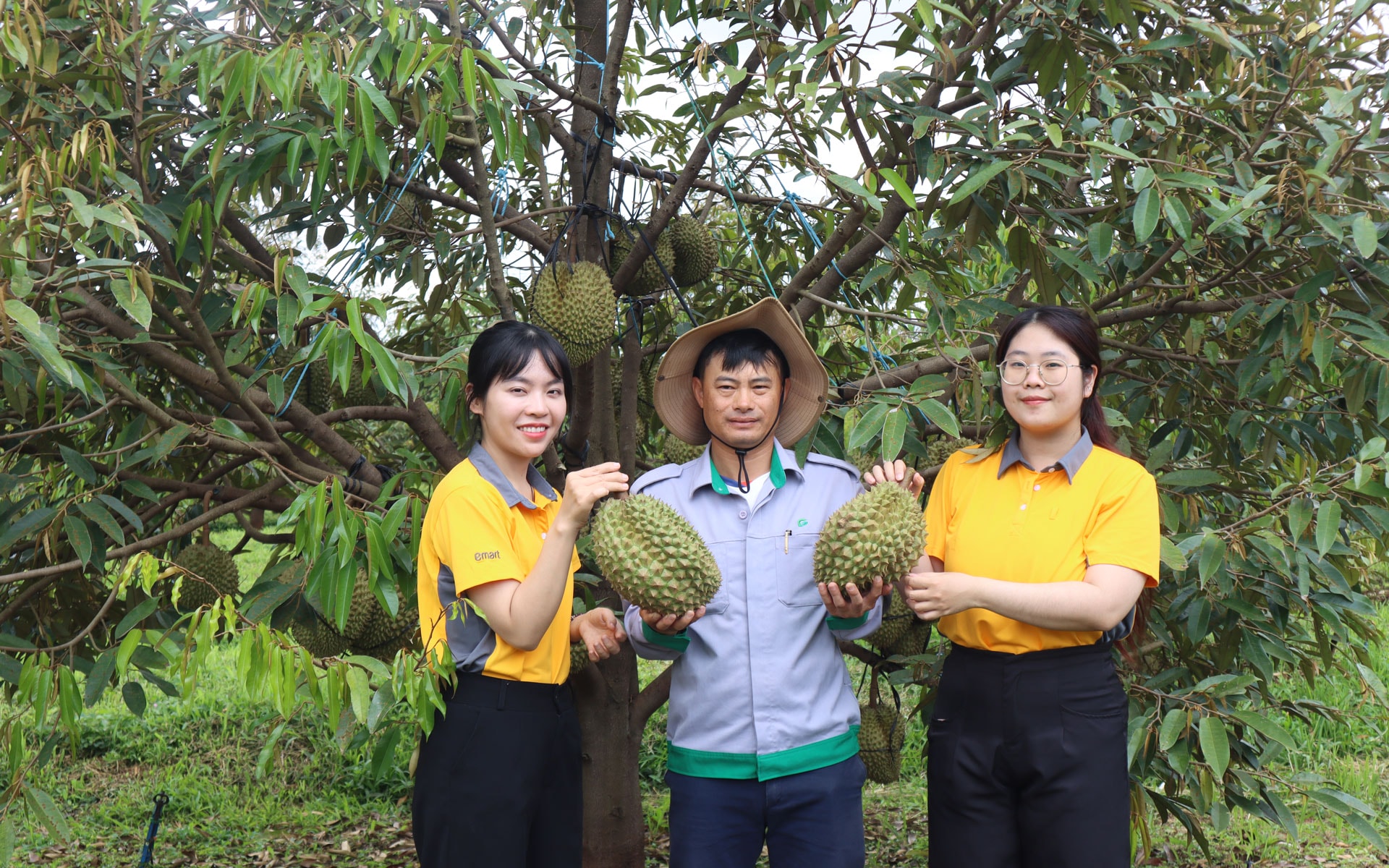 Đoàn Thiso Retail đến thăm, làm việc tại THACO AGRI