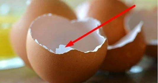 Giải pháp từ màng vỏ trứng kết hợp thảo dược hỗ trợ khớp vận động linh hoạt, giảm thoái hóa