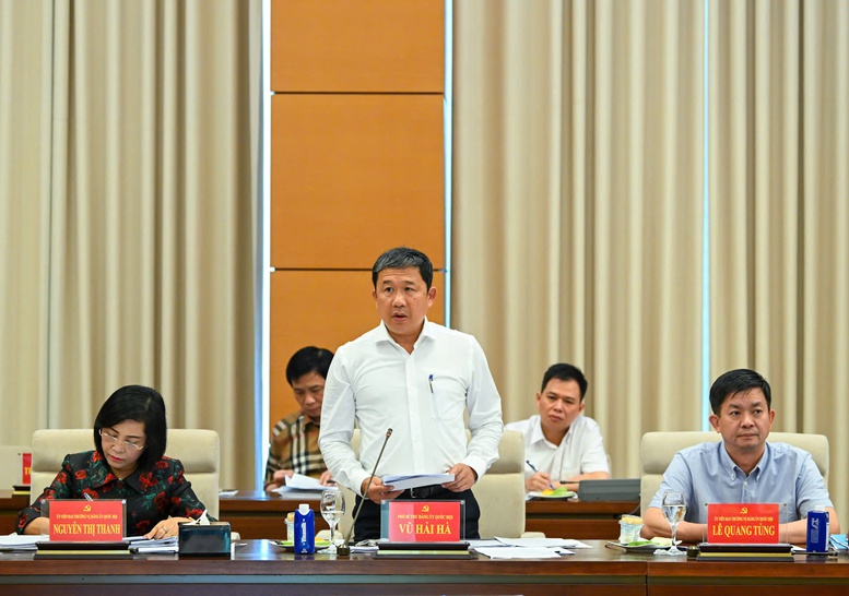 Phó Bí thư Đảng ủy Quốc hội Vũ Hải Hà báo cáo tại cuộc làm việc - Ảnh: VGP/Nhật Bắc