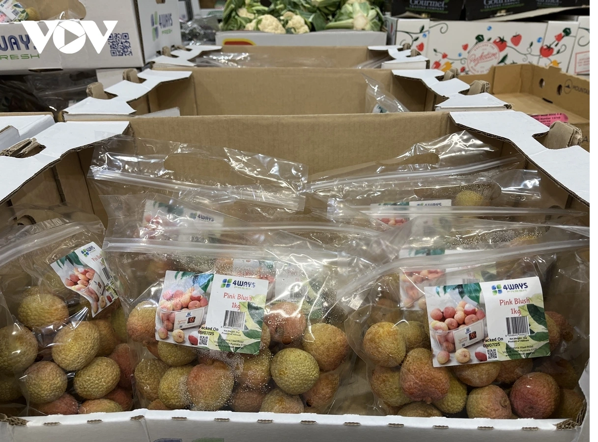 Quả vải tươi Việt Nam được bán trong siêu thị Costco Lidcombe, Sydney, Australia. Ảnh: Việt Nga