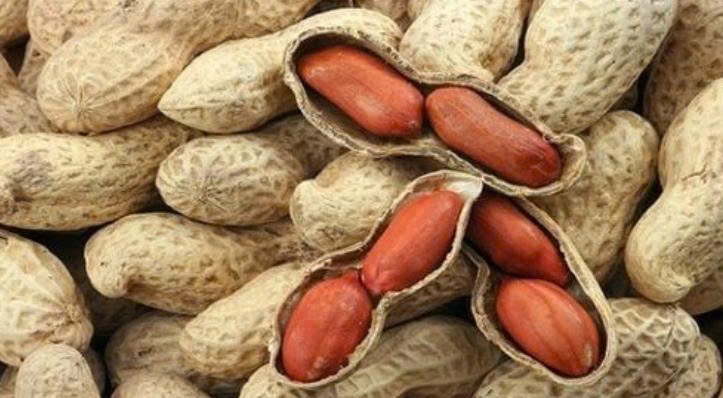 Loại củ mọc trong đất, phổ biến ở Việt Nam, chứa nhiều dưỡng chất tốt cho sức khỏe