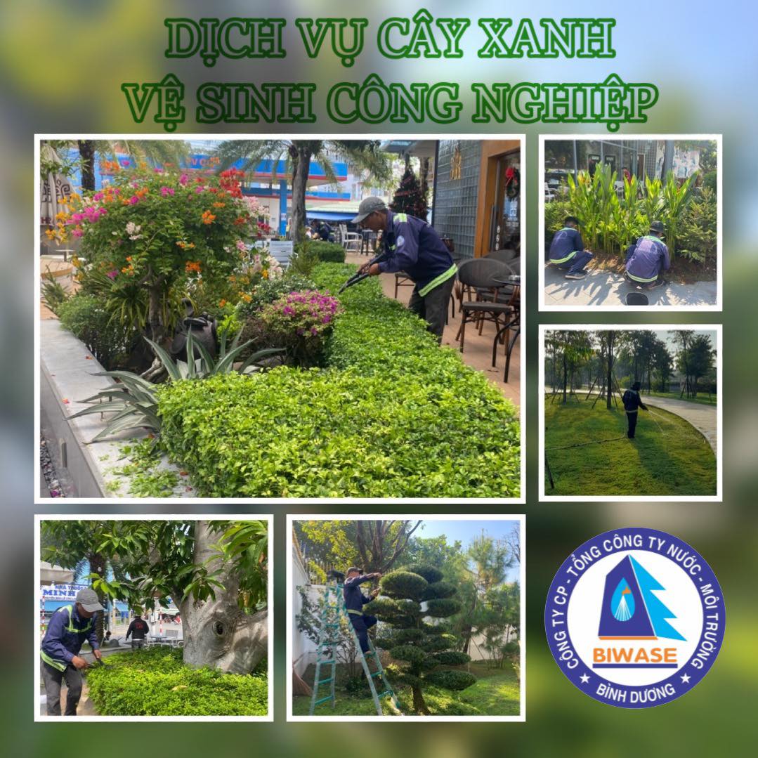 Dịch vụ cây xanh và vệ sinh công nghiệp Dịch vụ cây xanh và vệ sinh công nghiệp