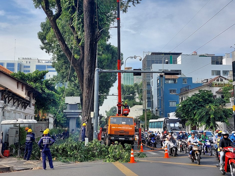TP. HCM tăng cường phòng ngừa, ứng phó sự cố môi trường trong mùa mưa bão