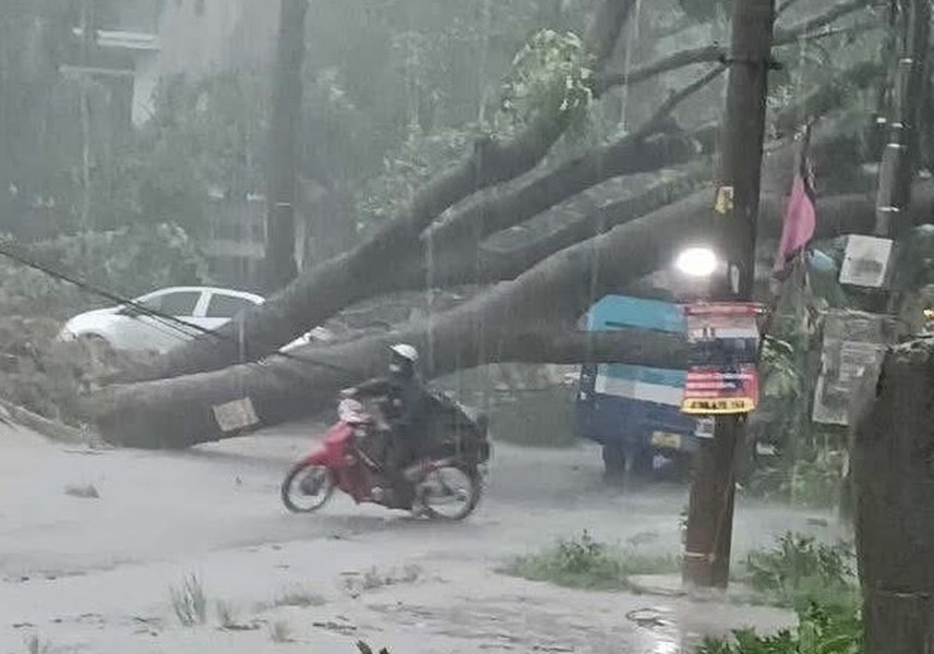 Chiều tối 19/7, do ảnh hưởng của bão, bụi bay mù mịt, cây đổ khắp phố phường Hà Nội Chiều tối 19/7, do ảnh hưởng của bão, bụi bay mù mịt, cây đổ khắp phố phường Hà Nội