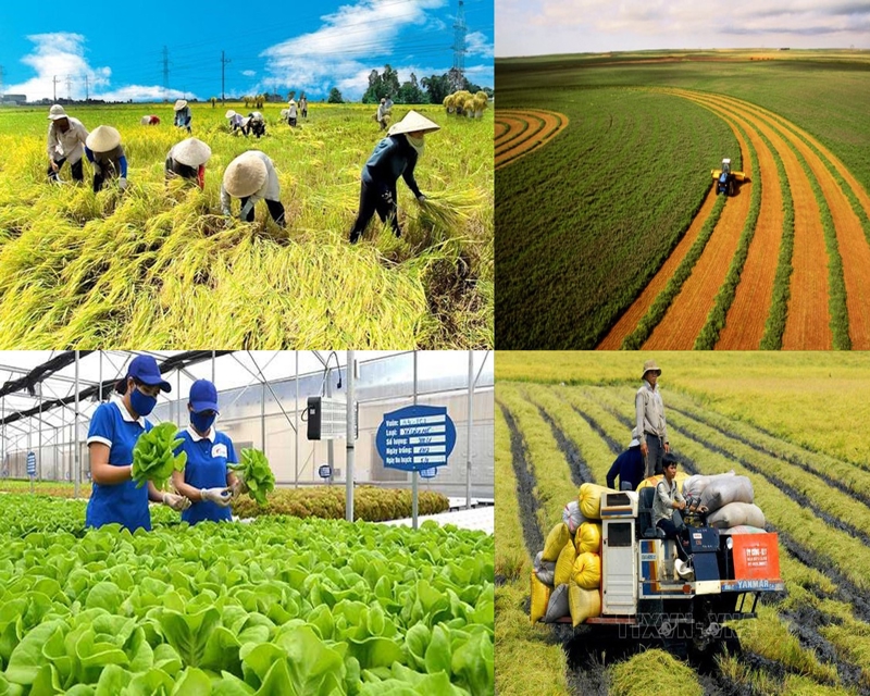 Bộ Tài chính đề xuất quy định hướng dẫn việc kéo dài thời hạn miễn thuế sử dụng đất nông nghiệp
