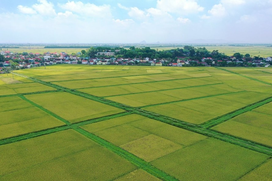 Bộ Tài chính đề xuất quy định hướng dẫn việc kéo dài thời hạn miễn thuế sử dụng đất nông nghiệp. Ảnh internet.