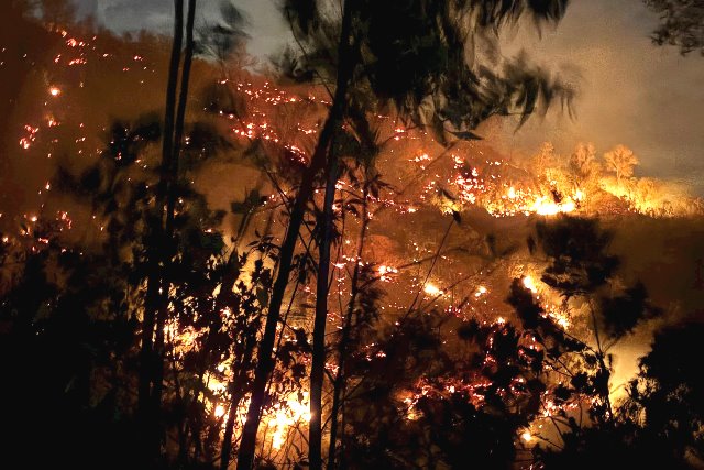 Đám cháy gặp thời tiết hanh khô vào ban đêm nên cháy lan với tốc độ nhanh. Ảnh: Địa phương cung cấp
