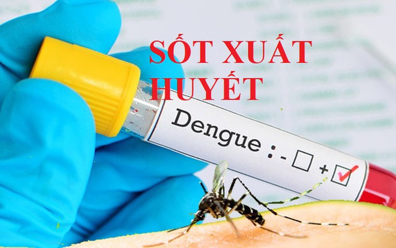 Ảnh VGP. Ảnh VGP.